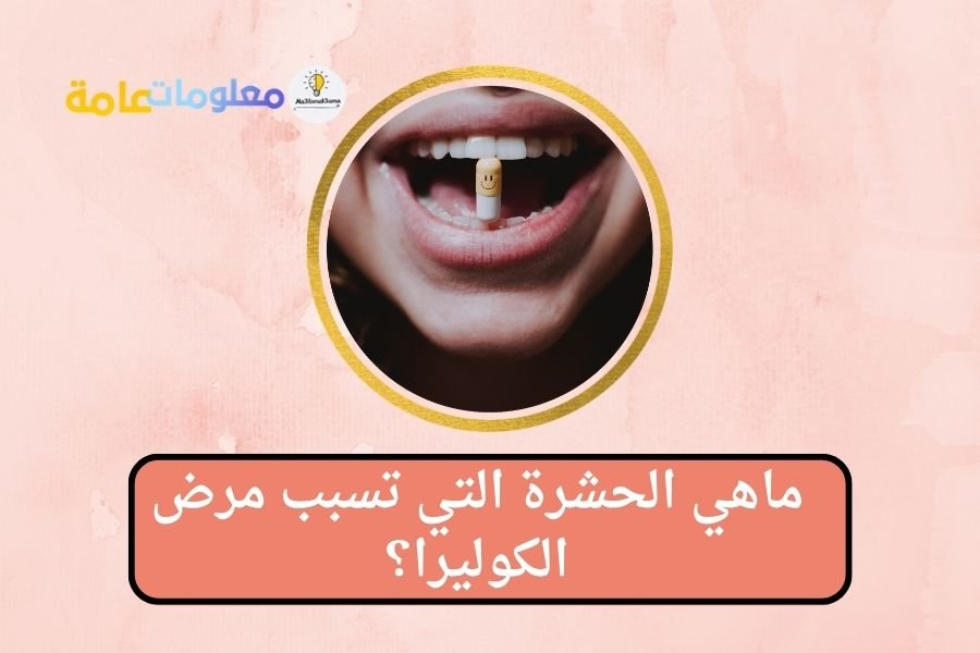 طرق الوقاية من مرض الكوليرا |ماهي الحشرة التي تسبب المرض؟